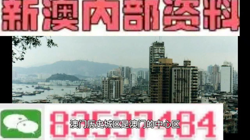 新澳门与香港准确内部免费资料精准大全,全面释义与解答落实
