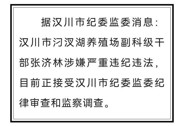 2025今晚必中必开一肖,全面释义与解答落实